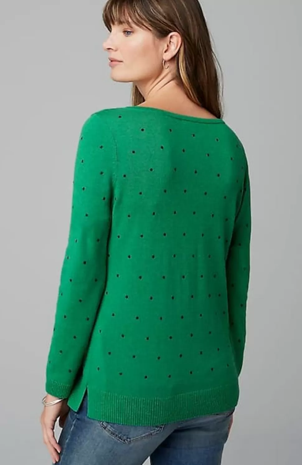 Embroidered-Dots V-Neck Sweater | Jjill | J.Jill Store